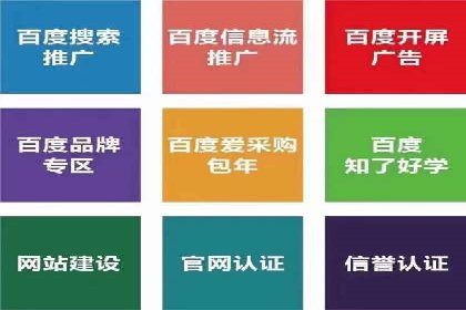 成功案例解读：SEM推广代运营策略